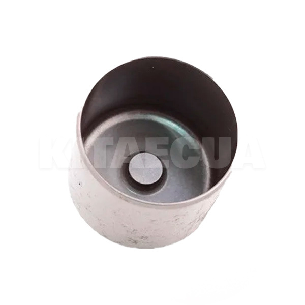 Гідрокомпенсатор клапана на Geely EMGRAND EX7 (1030000300)