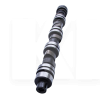 Распредвал 1.6L AE на Chery AMULET (480EE-BJ1006015)