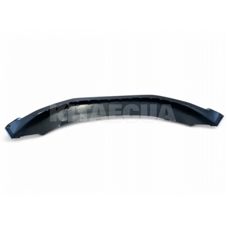 Нижняя часть переднего бампера Zeekr на ZEEKR 001 (8889397823C16) - 3