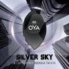 Ароматизатор "Silver" парфум Oya K2 (V904)