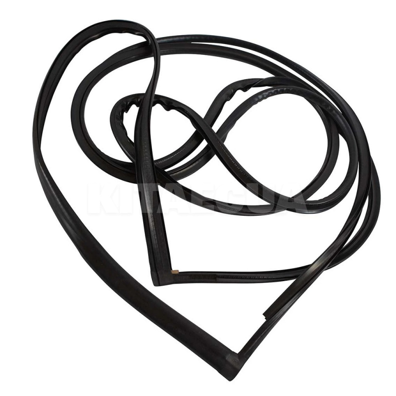 Уплотнитель двери задний левый (T11-5402430)