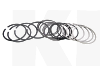 Кольца поршневые 0.25 2.0L ОРИГИНАЛ на CHERY ELARA (484J-1004030BA)