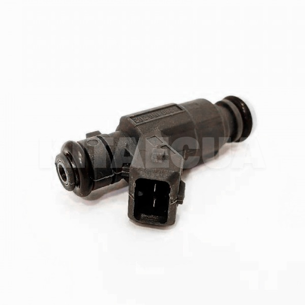 Форсунка топливная CDN на Chery AMULET (1106013158)