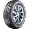 Шина зимова 255/35R19 96V XL NW211 Sunny (0839)