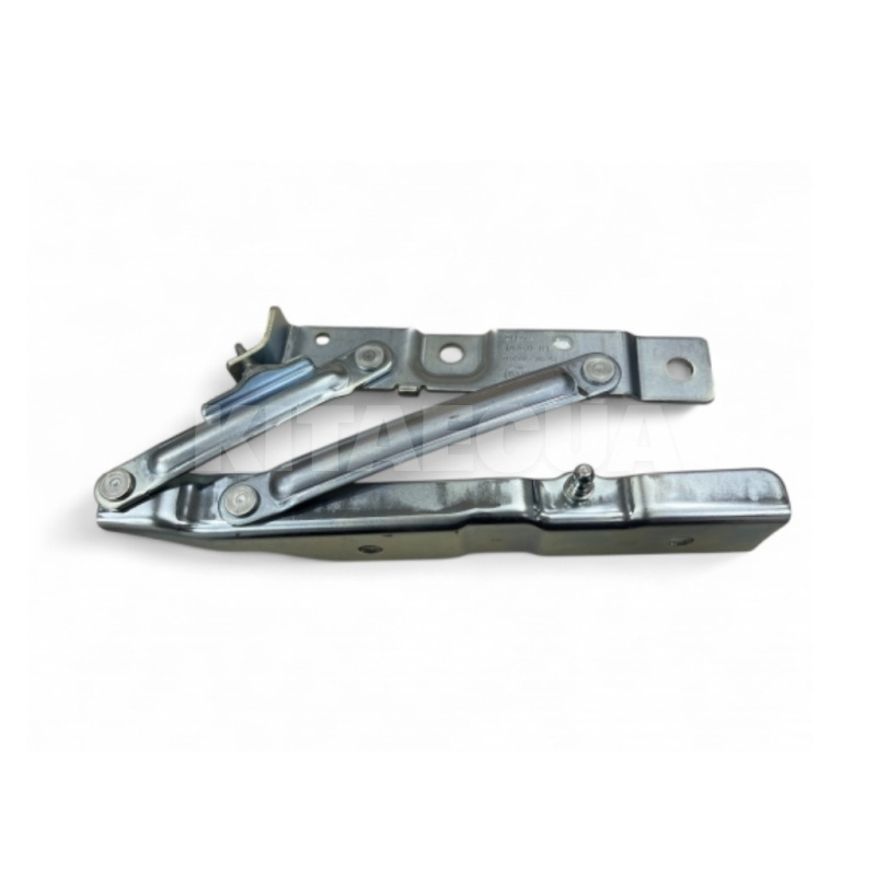 Петля капота ліва BYD на BYD EV Song Plus (13863538-00)