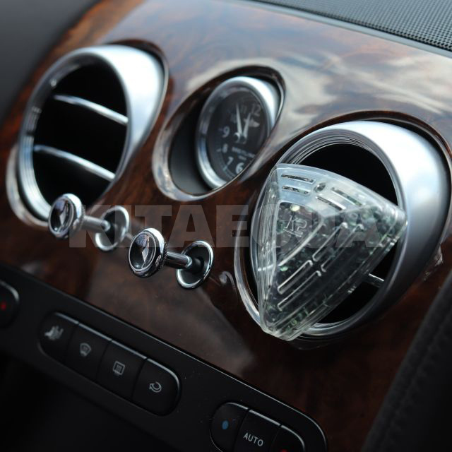 Ароматизатор "зелений чай" Diamo K2 (V88ZHE) - 5