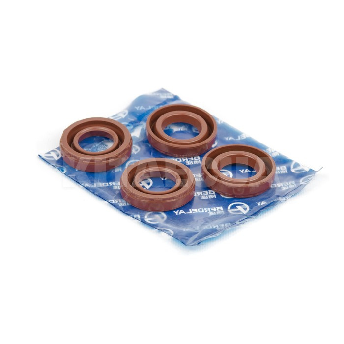 Сальник свечного колодца BERDELAY на Geely MK CROSS (E010410005)