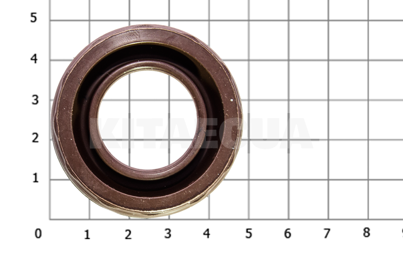 Ущільнювач колодязя свічки на Lifan 520 Breeze (LF479Q1-1003203A) - 2