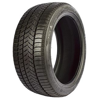 Шина зимова 245/45R19 102V XL NW211 Sunny