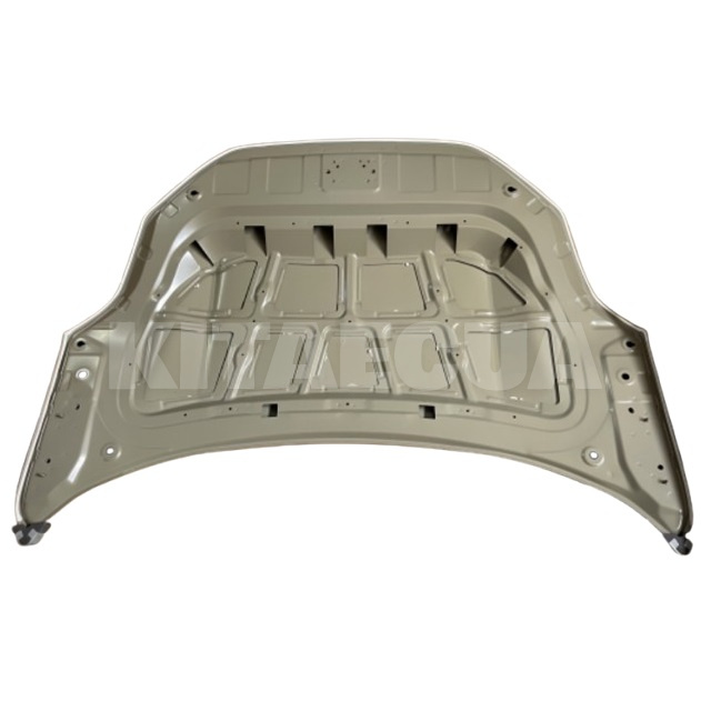 Капот Zeekr на ZEEKR 001 (8892492859C15) - 2