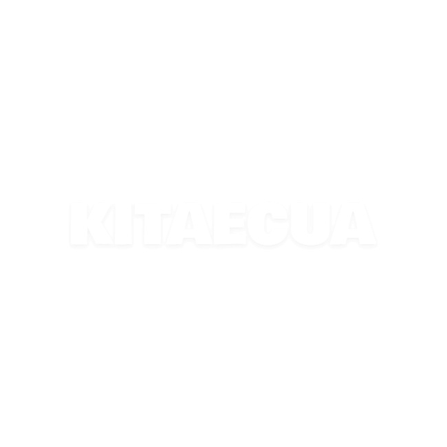 Масло моторное синтетическое 4л 5W-40 Elite Mannol (MN7903-4) - 2
