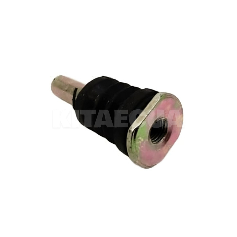 Направляющая суппорта переднего (1 шт.) (T21-XLB6GN3501067-01)
