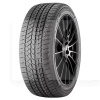 Шина зимова 255/50R19 107T XL WINTERKING DW02 Doublestar (1000352284)