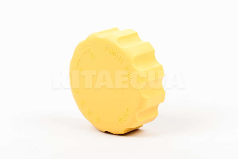 Крышка расширительного бачка на Chery QQ (S11-1311120) - 3