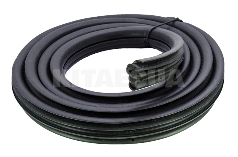 Ущільнювач дверей задніх лівих на Chery AMULET (A11-5402121) - 2