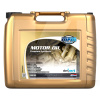 Масло моторное синтетическое 20л 5W-30 GM MPM (MPM_05020DEX)