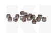 Сальник клапана (16шт) на CHERY ARRIZO 7 (481H-1007020)