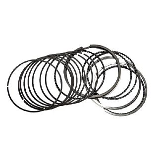 Кольца поршневые STD 1.6L SHINO