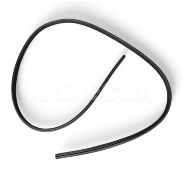 Уплотнитель двери здней правой ОРИГИНАЛ на NISSAN Ariya (76923-5MT0A)