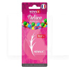 Ароматизатор "жвачка" Delice Bubble Gum NOWAX (NX00078)