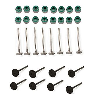 Комплект клапанов впуск/выпуск + сальники клапанов Chery Elara