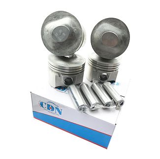 Поршни двигателя STD (с пальцами) 4шт 1.6L CDN