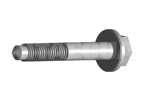 Болт заднего сайлентблока переднего рычага на CHERY AMULET (N10087403) - 2