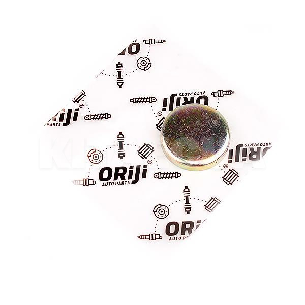 Заглушка головки блока цилиндров ORIJI на Chery E5 (480-1003017)