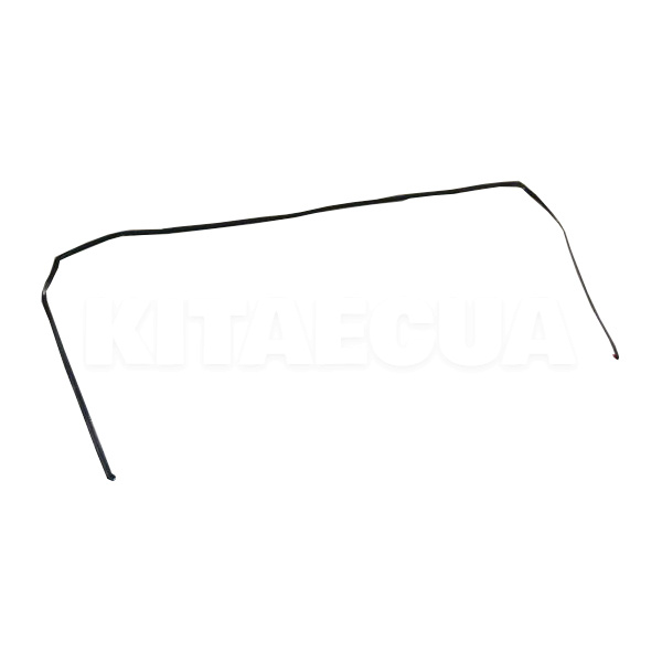 Ущільнювач скла заднього ОРИГИНАЛ на ZAZ FORZA (J158ES5206021)