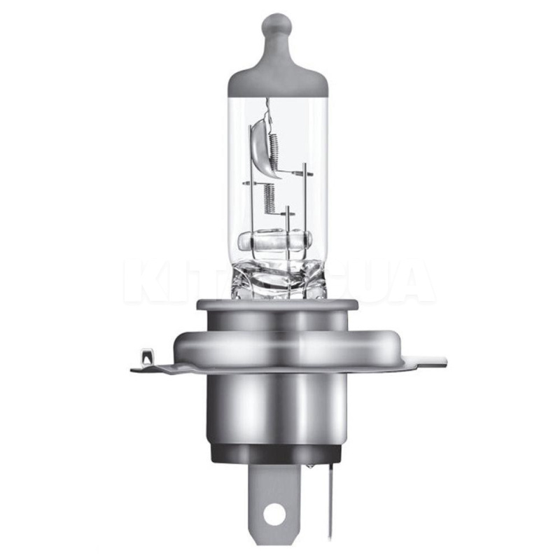 Галогенні лампи H4 60/55W 12V CLK ALB комплект Osram (OS ALB H4 12V) - 2