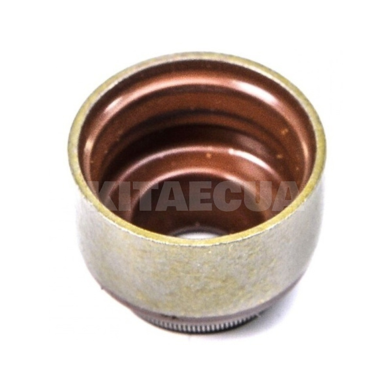 Сальник клапана 2.4L PAYEN на Chery EASTAR (SMD184303) - 2