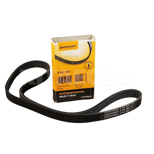Ремінь ГРМ CONTITECH (5PK962)