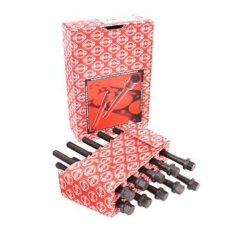 Болт головки блока цилиндров (ком-кт 10 шт) 1.6L ELRING