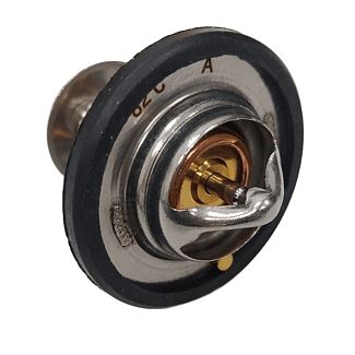 Термостат TEMB