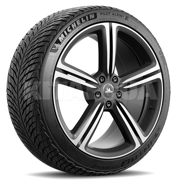 Шина зимняя 245/45R19 102V XL Pilot Alpin 5 Michelin (1000353719)