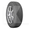 Шина зимова 215/50R17 95H XL FR Observe GSi-6 HP TOYO (1000349412)