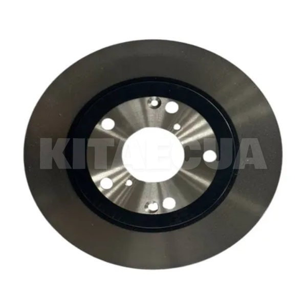 Гальмівний диск задній BYD на BYD Yuan Plus (13609768-00) - 4