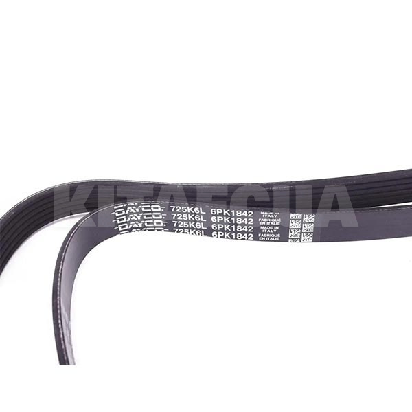 Ремінь ГРМ DAYCO (6PK1842) - 2