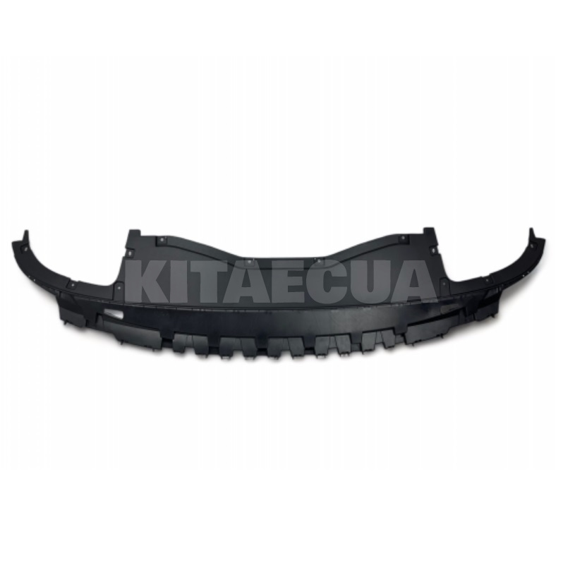 Нижняя часть переднего бампера VAG на VOLKSWAGEN ID.4 CROZZ (11G 805 915 A 989) - 5