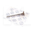 Клапан впускний (1 шт) 1.6 L PREMIUM на Chery AMULET (480E-1007011)