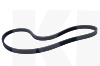 Ремінь ГУРа і кондиціонера на CHERY BEAT (S12-8104051)
