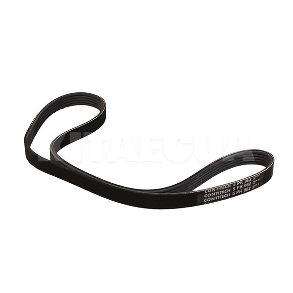 Ремінь ГРМ CONTITECH (5PK962) - 2