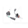 LED лампа для авто H11 6500K (H11 6500K)