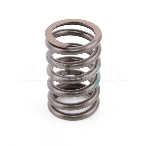 Пружина клапана 1.5L HQ на Geely CK2 (E010000801)