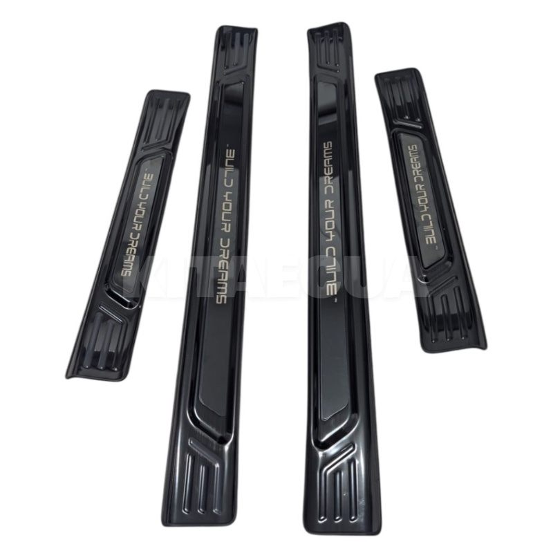 Накладка на пороги (NKLPRBYD07) - 2