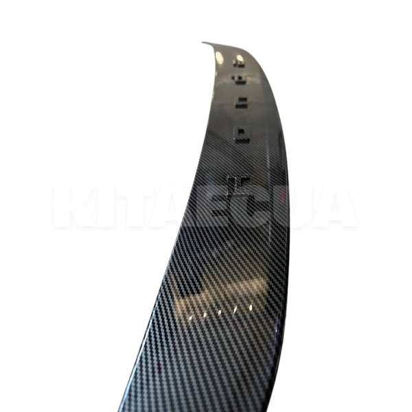 Спойлер (мухобійка) Капот на HONDA e:NS1 (SPK-HENS1) - 3