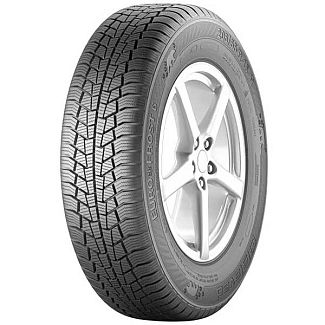 Шина зимова 255/50R19 107V XL FR Euro*Frost 6 GISLAVED