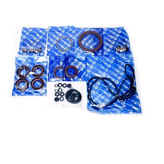 Комплект прокладок двигуна BERDELAY