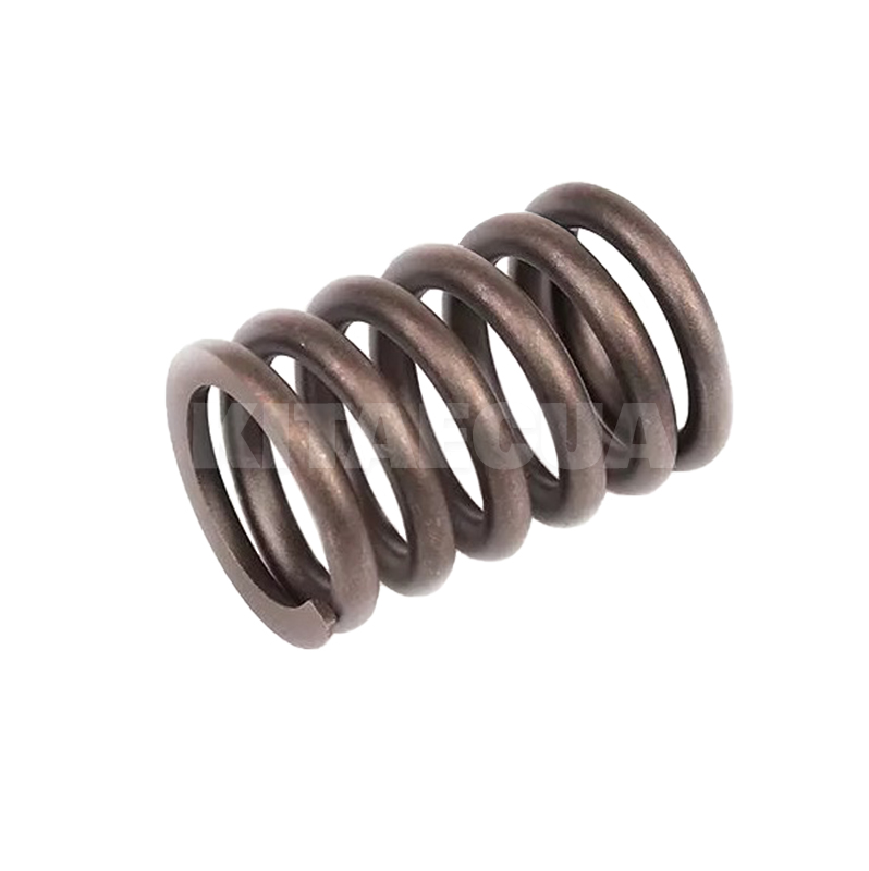 Пружина клапана 1.6L на Chery AMULET (480-1007013)