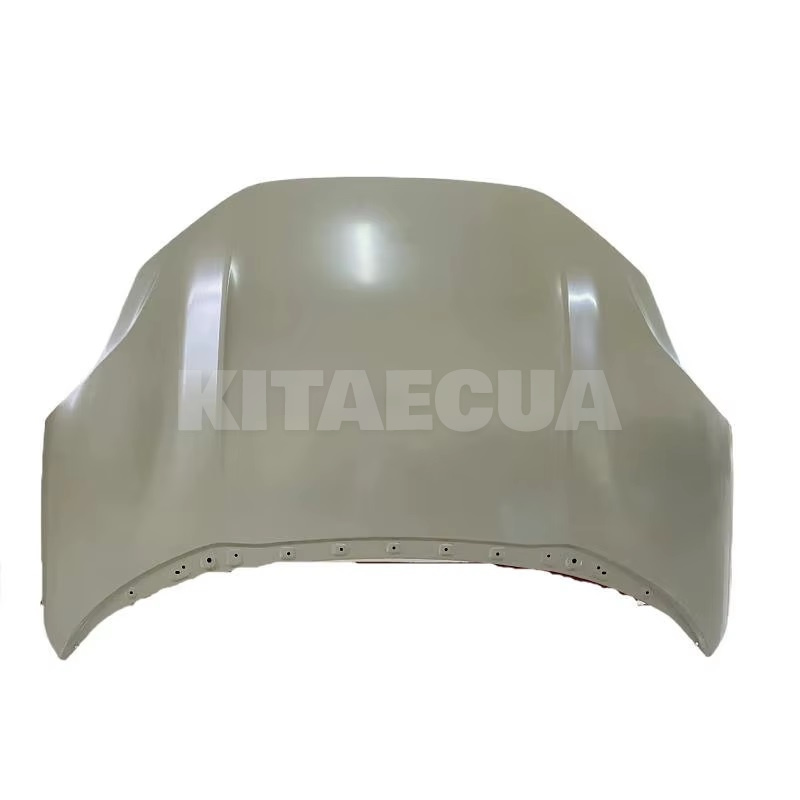 Капот Zeekr на ZEEKR 001 (8892492859C15)